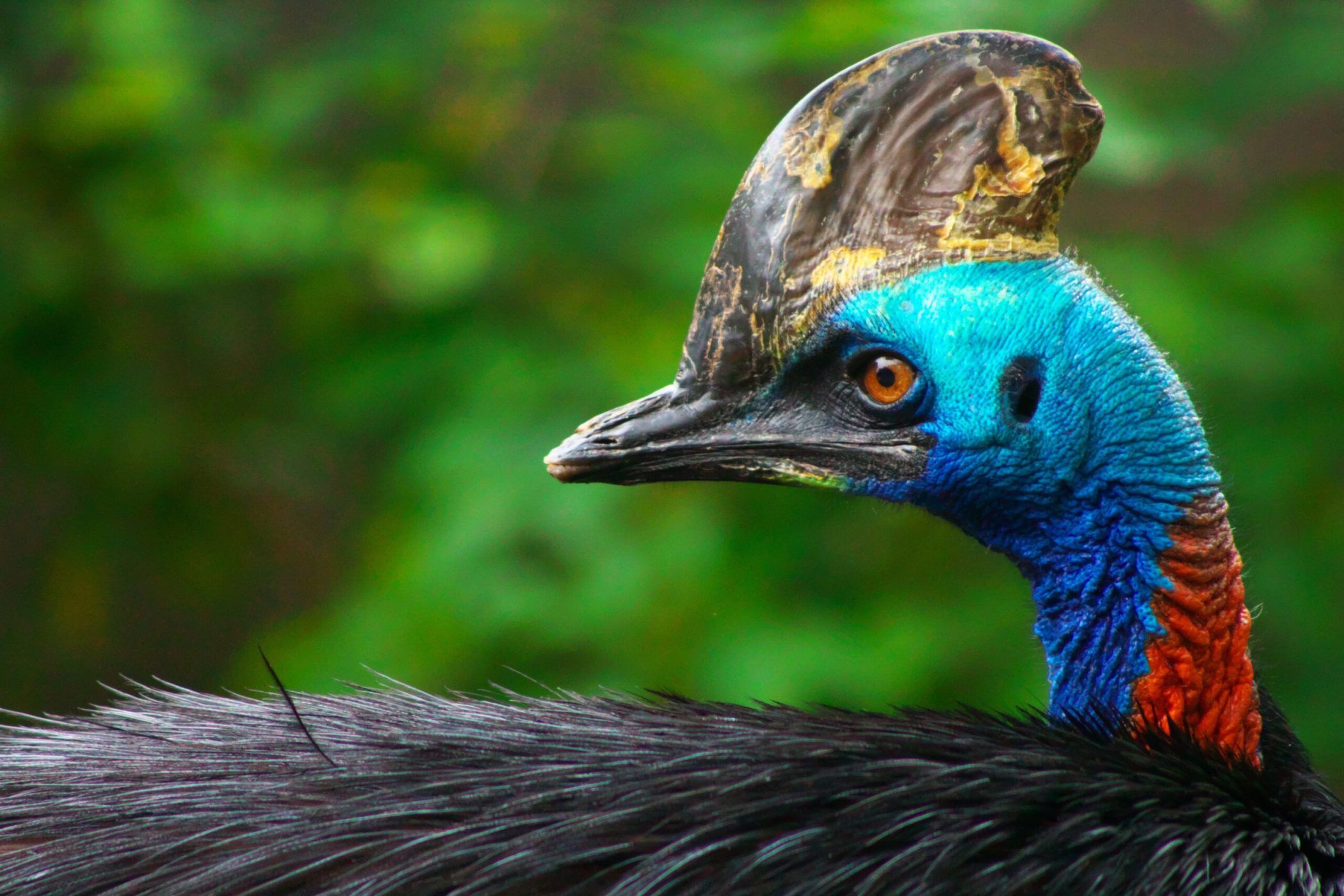 York, Maine Attractions and Rides | York's Wild Kingdom