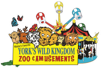 York's Wild Kingdom