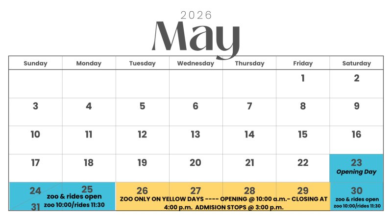 May 2026 calendar with special zoo opening days highlighted in blue and yellow.