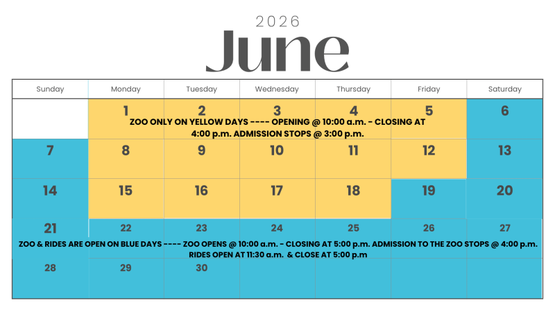 June 2026 calendar with yellow and blue days for zoo opening info.