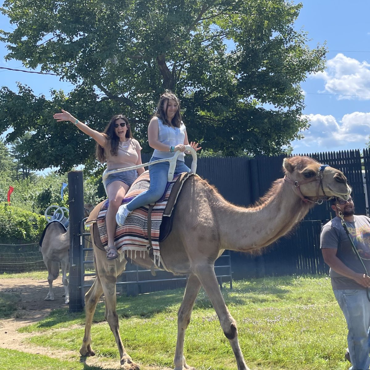 Two women riding a camel with a handler nearby, green grass and trees in background, blue sky with clouds.