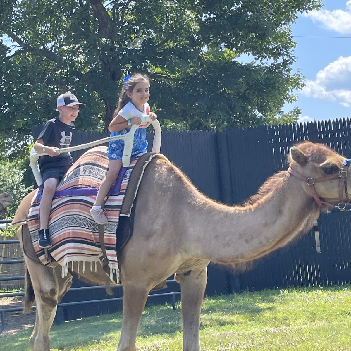 Two children riding a camel with striped saddle in a grassy area with trees.
